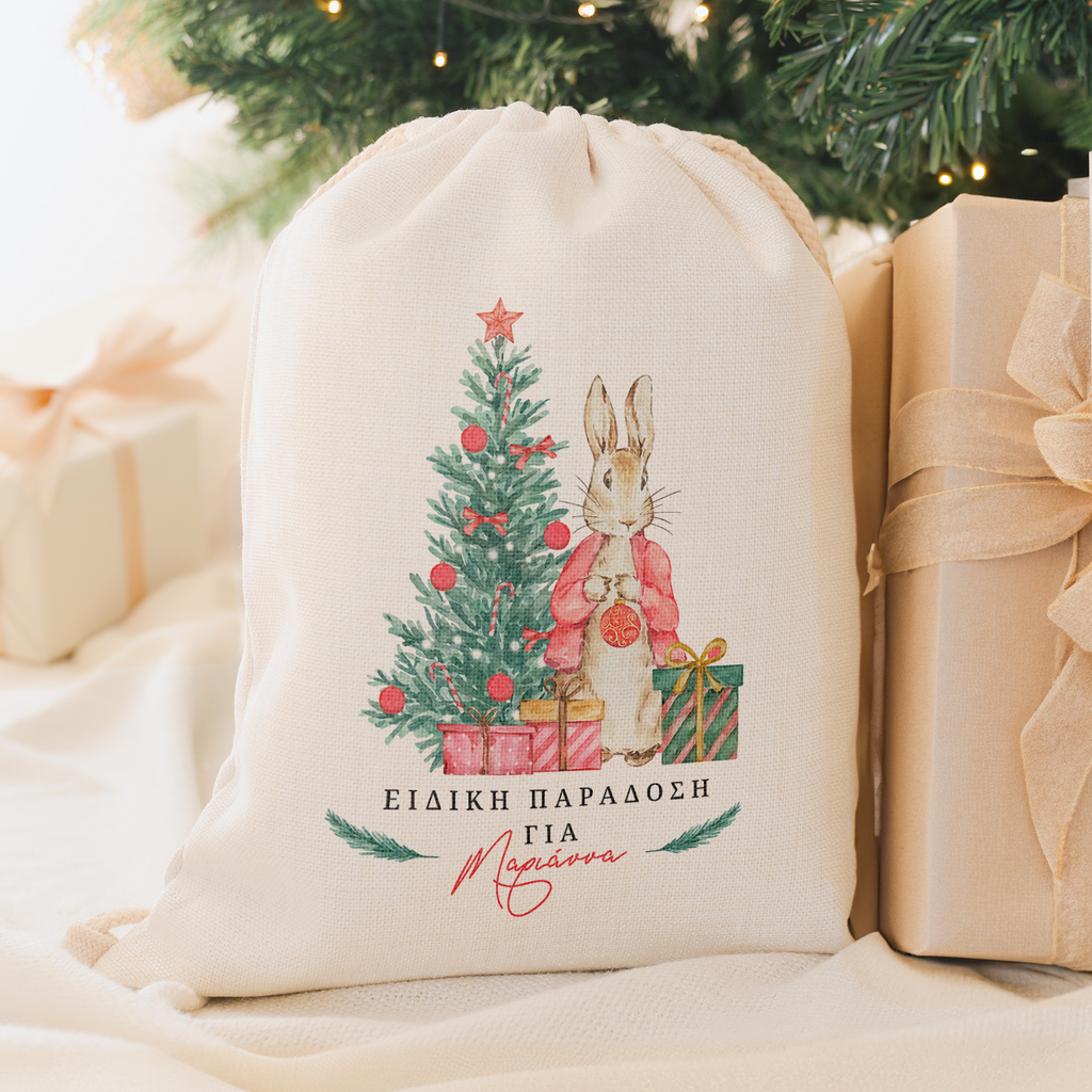 Special Delivery - Christmas Drawstring Sack