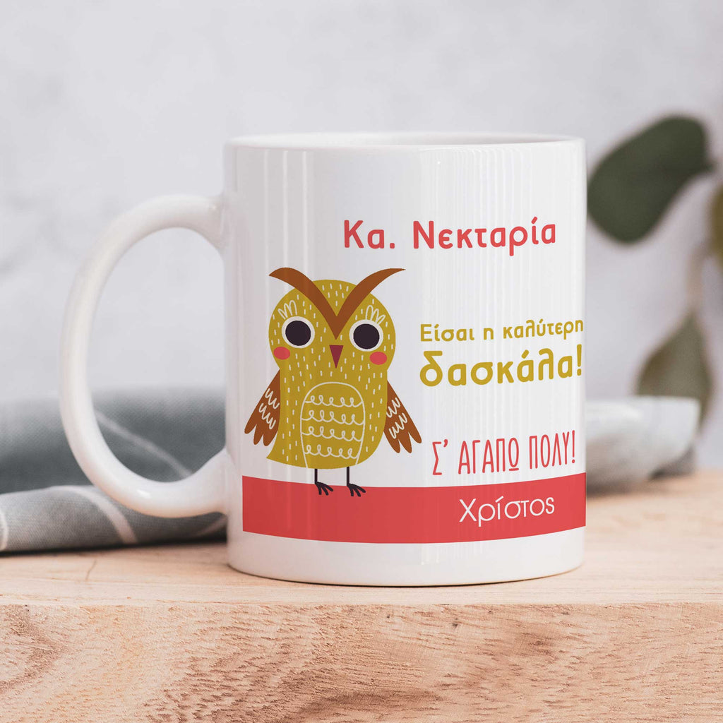 Owl Teacher - Ceramic Mug 330ml